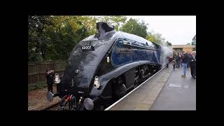 BLUEBELL RAILWAY GIANTS OF STEAM 12th OCTOBER 2024 [upl. by Rehprotsirhc]