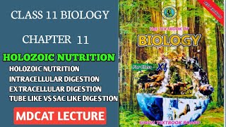 INTRODUCTION TO DIGESTION AND HOLOZOIC NUTRITION MDCAT  CLASS 11 NEW BIOLOGY SINDH BOARD mdcat [upl. by Pisarik]