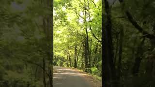 Route de Corrèze france nature limousin shortsyoutube automobile [upl. by Elfont]