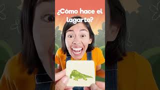 🦎 menique leon lagarto lobo videosgraciosos 123andres alfabeto aprendeespañol education [upl. by Kerwin122]