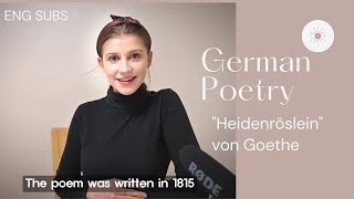 Learn German with Poetry Heidenröslein I Wild Rose  Reading Goethes Poems 🇩🇪 [upl. by Sezen]