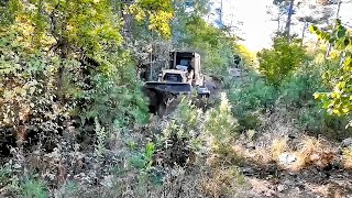 KAPALI ve YEŞİL Orman AĞAÇLARI Arasında Bulldozerquotin YOL YAPIMI Mücadelesi A Tight and Narrow space [upl. by Adnyleb]