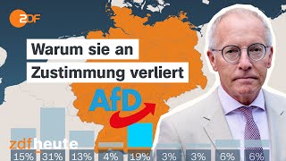 AfD verliert  BSW wächst quotEine Zäsur in doppelter Hinsichtquot  Prof Korte zum ZDFPolitbarometer [upl. by Ennagem]