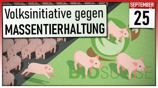 Massentierhaltungsinitiative Volksinitiative  Volksabstimmung 25 September 2022 [upl. by Liemaj]