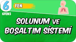 Solunum ve Boşaltım Sistemi 📗 6FEN5 2025 [upl. by Shepperd]