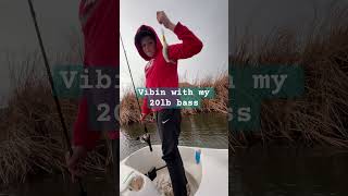 I love fishing bait baitcaster bassfishing fishing fishinglife googanbaits bass music [upl. by Airekahs]