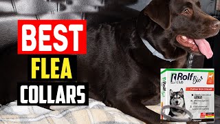 Top 5 Best Flea Collars for Dogs Reviewed in 2023 [upl. by Naie]