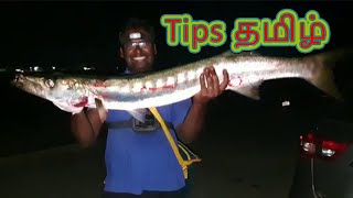 இரவில் பொம்மைக்கு மீன் பிடிக்க🐟🎣 முடியுமா Night Lure Fishing Tips [upl. by Viscardi]