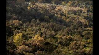 EL ENTORNO NATURAL EN LA VÍA VERDE DE LA SIERRA DE CÁDIZ [upl. by Aiam]