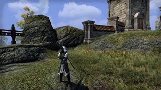 Stamina Warden  Outnumbered  ESO PvP [upl. by Laehcym266]