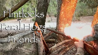 Flintlocks Feral Hogs and FriendsTraditional Muzzleloading Fun [upl. by Ocirne904]