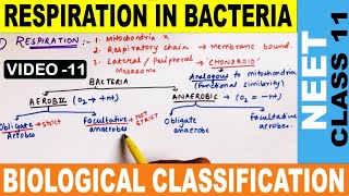 Respiration in Bacteria  Biological Classification  Monera  Class 11  NCERT  NEET 2020 [upl. by Aihselef]