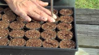 Seeding for the Aquaponics Systems [upl. by Normac18]