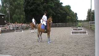 HAVERING PARK RIDING SCHOOL OPEN DAY Musical Ride [upl. by Ailisab]