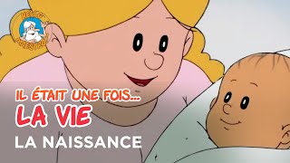 Il était une fois… la Vie 🌱 La naissance 👶 [upl. by Enaled]