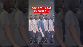 Les rats sont de sortie 🤨 rat humour drole pourtoi pov memes [upl. by Enileme]