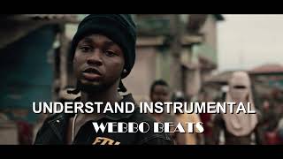 Omah Lay Understand Official Music Video instrumental [upl. by Ardien]