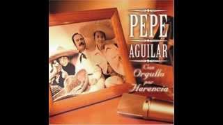 Pepe Aguilar  Paso Del Norte [upl. by Leunamme]