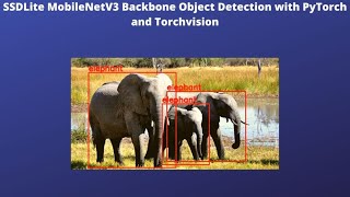 RealTime Object Detection using SSDLite with MobileNetV3 Backbone with PyTorch [upl. by Yeo366]