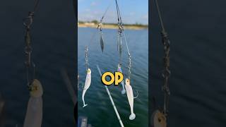 Is the ARig the Most Overpowered Fishing Lure on the Market [upl. by Enelram]