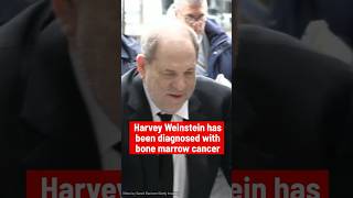 Harvey Weinstein Diagnosed With Bone Marrow Cancer shorts harveyweinstein cancer celebrity [upl. by Haerdna]