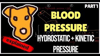 Hemodynamics Blood pressure Hydrostatic and Kinetic pressure [upl. by Ailices]