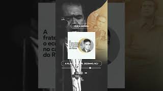 A fraternidade e o ecumenismo no caminho do Reino  shorts [upl. by Nailil]