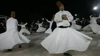 Whirling Dervishes in Konya [upl. by Nnaeinahpets]