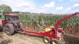 Klein farms chopping hay and corn [upl. by Dorahs610]