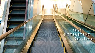 【古いエスカレーター 三菱製】平和堂 祖父江店元グランドタマコシ 降り MITSUBISHI Escalator at Heiwado Sobue store [upl. by Gussi]