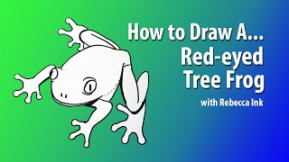 How to Draw A Redeyed Tree Frog [upl. by Schafer]