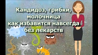 Кандидоз грибки молочница  как избавиться навсегда без лекарств [upl. by Irahcaz]