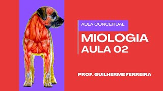 Miologia Veterinária aula 02  Live Teorica de Anatomia Animal 20241 [upl. by Dinnie]