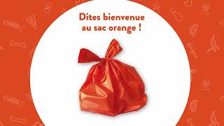 Des sacs orange pour faciliter le tri des biodéchets dans tous les foyers [upl. by Omrellig]