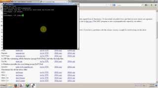 How to login VPS with Putty  VPS Server Tutorial [upl. by Fortin]