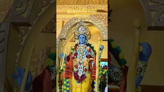 New Baridih Puja Pandal Jamshedpur shortvideo durgapujapandal hindufestival [upl. by Niamrej]