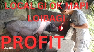 Local gi OK Mapi Loibagi Kanaba  Yam wadana Sendong Yam Leiba  Manipur pig explore [upl. by Ulrike]