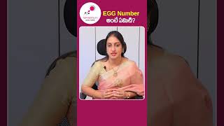 Normal Egg Count for Pregnancy Telugu  Top Fertility Doctors  shorts ytshorts [upl. by Acemaj]