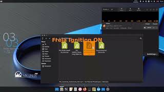 MX Linux Based Audio Enchancer quotFreja Ignitionquot Demo [upl. by Nahtanha]