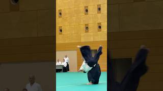 wwwaikikaisk  Slovak Aikido Association  Aikikai Slovakia [upl. by Bolanger]