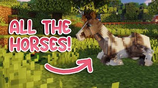 Meet The New Horses  SWEM RP Minecraft [upl. by Prisilla422]