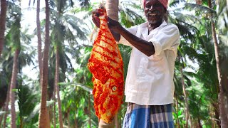 LEATHER JACKET FISH FRY  Kilathi meen varuval  Village Traditional Fish Recipe  KARUPPASAMI [upl. by Ramej]