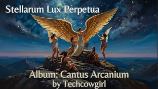 Stellarum Lux Perpetua  Beautiful Latin Choral Acapella Music Angelic  Official Video [upl. by Laux]