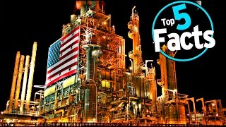 Top 5 Interesting Capitalism Facts [upl. by Llenreb]