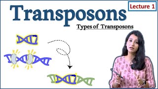 Transposable element I Types of Transposons I I DNA Transposons I Part I How transposon work [upl. by Attayek]