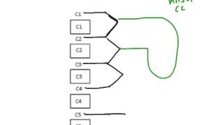 How to Biology amp Anatomy Cervical plexus nerves [upl. by Noryt]