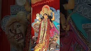 Jini Sara jagat k dharon korechenjagadhatripuja2024 adaywithanuradha blessings likeandsubscribe [upl. by Senior]