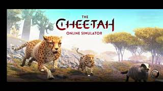 random the cheetah gameplay 2 [upl. by Vanessa771]