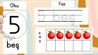 Sayıları Öğren  Rakamları Öğren  Okul Öncesi Eğitici Video  1Sınıf [upl. by Einalam224]