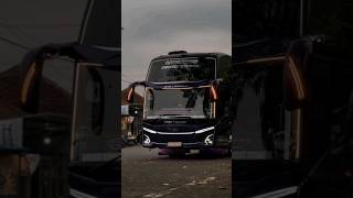 cinematic PHD Trans Angelonia bus cinematicbusindonesia busmania shorts [upl. by Haslett257]